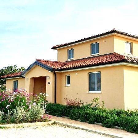 Vila Dubravka - Schoen Und Komfortabel Inmitten Von Olivenbaeumen Und Weinbergen Mit Whirlpool Valtura エクステリア 写真